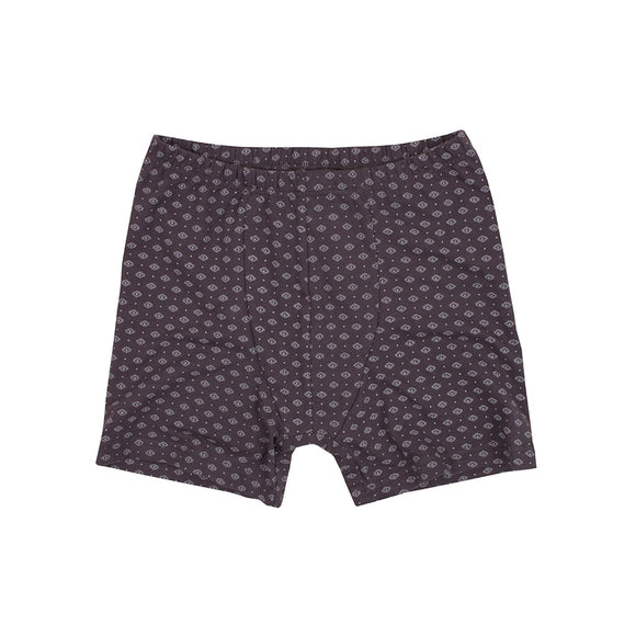 Paisely Boxers