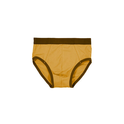 Buy orange Snug Fit Briefs