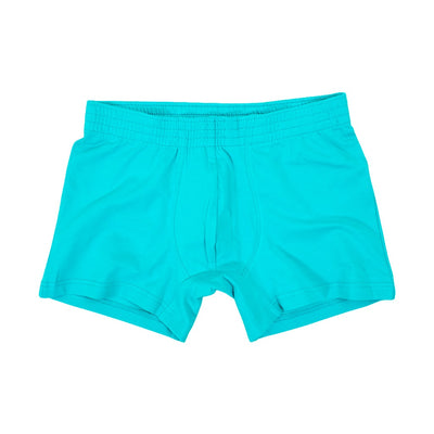 Buy blue Basic Boxers