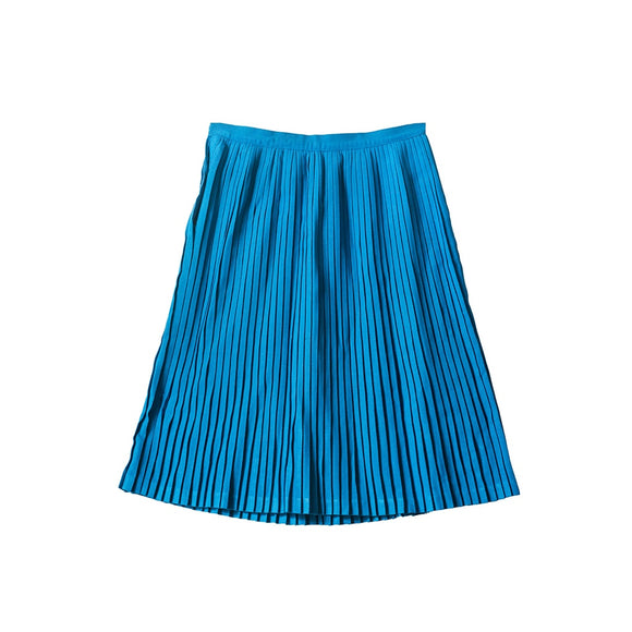 Blue Pleated Skirt
