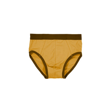 Buy orange Snug Fit Briefs