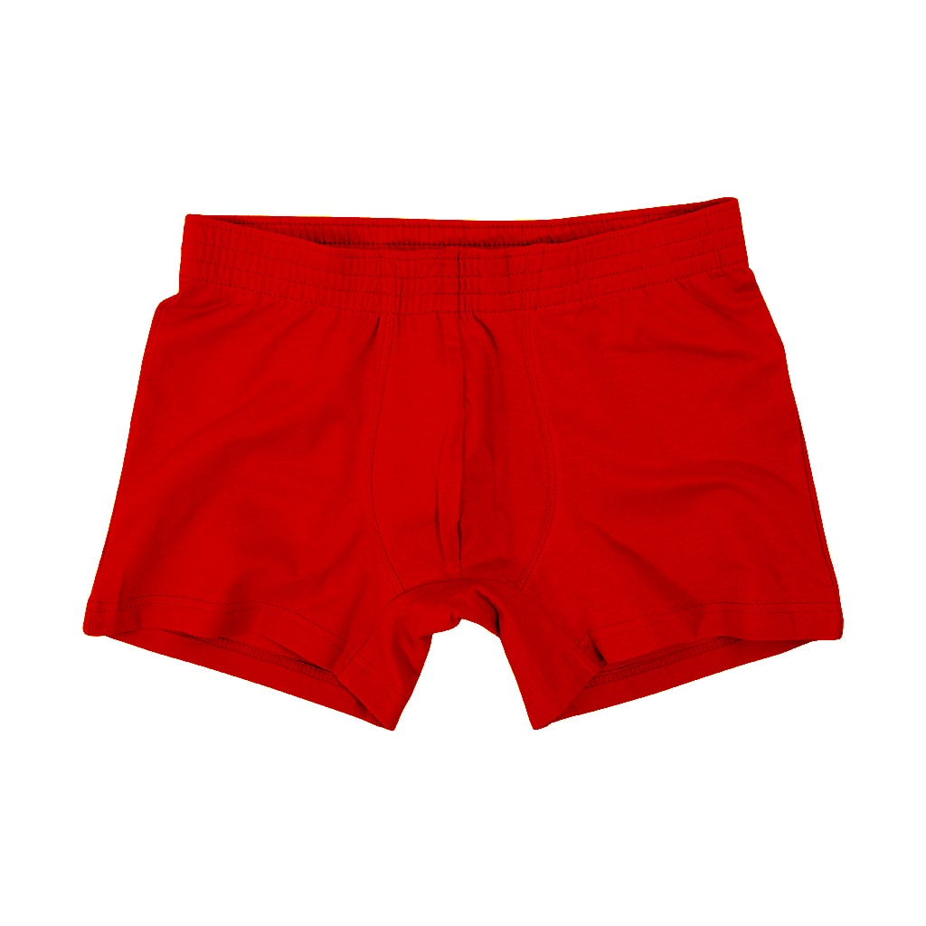 Boxer di base