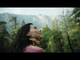 نظارة شمسية أفياتور - 0